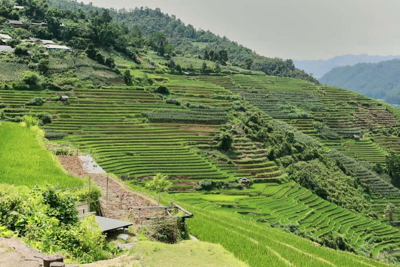 1-Day Sapa Long Trek - Rice Field Terrace, Ethnic Culture - What You Actually Get for $24: Value Breakdown
