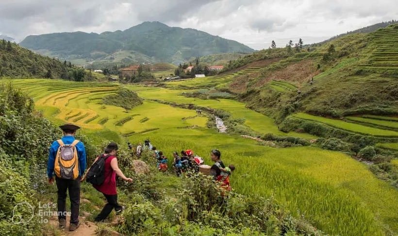 1-Day Sapa Long Trek - Rice Field Terrace, Ethnic Culture - What This Sapa Trek Really Feels Like: Ridge Views to Rice Fields
