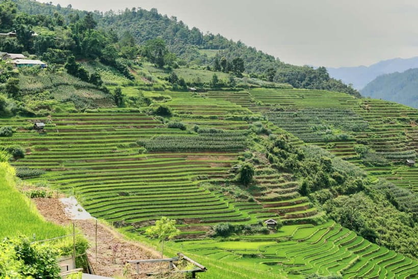 1-Day Sapa Long Trek - Rice Field Terrace, Ethnic Culture - Ta Van Village by 3:00 PM: Incense Making and Quiet Time
