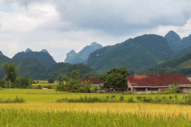 12 Days in Vietnam | Cultural Exploration with Beach Escapes - Ha Long Bay and Lan Ha Bay: More Than One Scenic Photo Stop