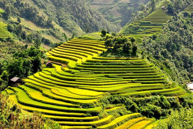 15-Day Majestic Vietnam FULL Package - 68% OFF + Bonuses - Flying to Da Nang and Settling into Hoi An (Days 6 to 8)