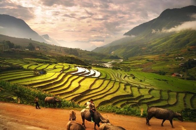 15-Day Majestic Vietnam FULL Package - 68% OFF + Bonuses - Hue (Days 9 and 10): Pagoda by Dragon Boat and Imperial City Time