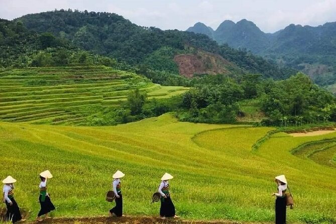15-Day Vietnam Itinerary All in One | Travel Package 2026-2027 - Ha Long Bay cruise days: deck time, sunrise vibes, and island stops