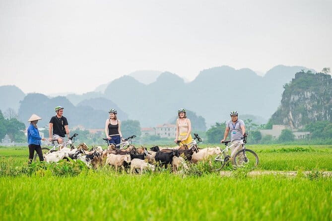 17-Day Vietnam Tour | Explore the Best Highlights of Vietnam - Price and value check: what your $1,689 includes