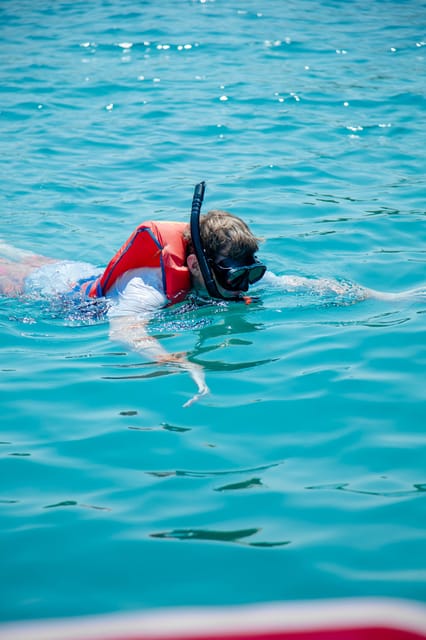 2-3 hours of Private Snorkeling Trip in South of Phu Quoc - Key highlights worth planning for