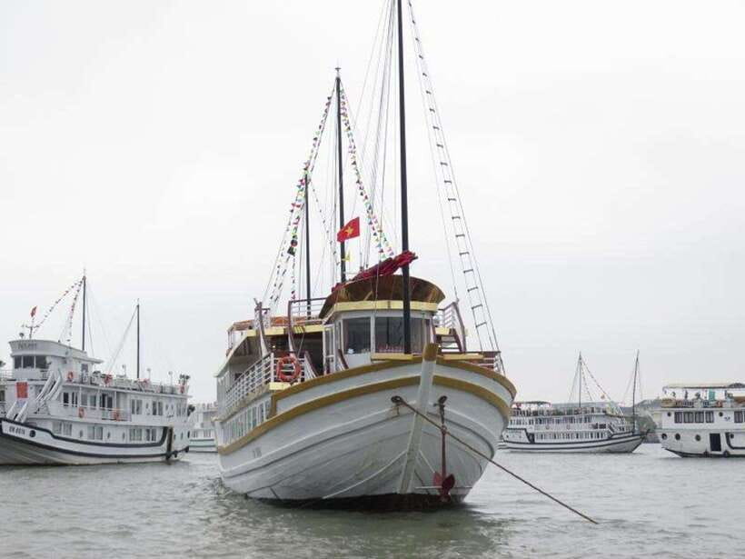 2-Day Peaceful in Bai Tu Long Bay with Luxury Cruise - Who should book this Bai Tu Long Bay cruise (and who should not)