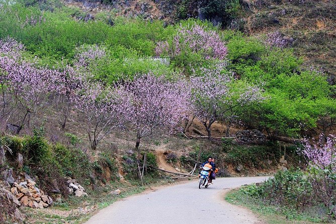 2 Days Sapa Trekking In Cat Cat And Ta Van Village From Hanoi - Hanoi to Sapa: The Drive That Sets the Tone