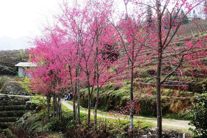 2 Days Sapa Trekking In Cat Cat And Ta Van Village From Hanoi - Price and Value: $94.88 Is About What’s Included
