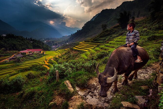 2D1N Buffalo trek by Hmong Sister House and Trekking - Buffalo-house style trekking around Ta Van, Sapa