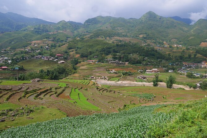 2D1N Buffalo trek by Hmong Sister House and Trekking - Weather, timing, and getting there from Sapa