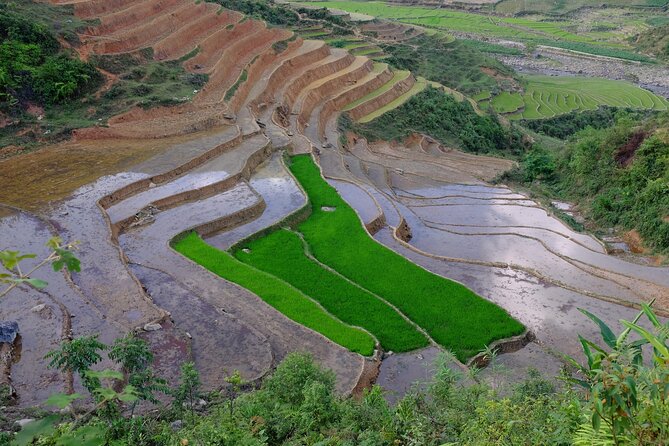 2D1N Buffalo trek by Hmong Sister House and Trekking - Day 1: Hau Thao village, forest hiking, and a home base with shower and breakfast