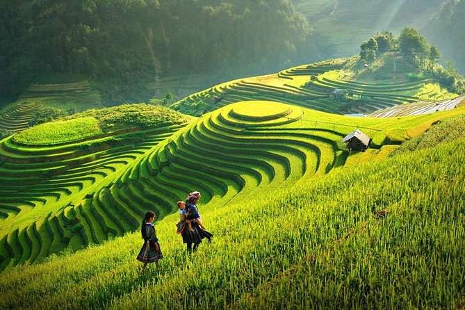 3-Day Sapa Real Valley View Homestay & Fansipan–Roof of Indochina - Guide and group size, where the experience quality really comes from