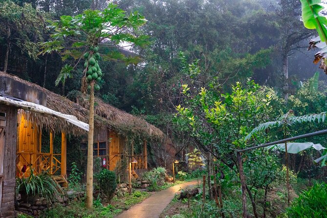 3-Day Trekking Adventure of Sapa from Hanoi - Stay Ta Van Village - From Hanoi to Sapa: Transfers That Save Your Energy