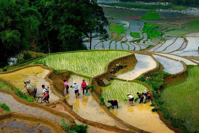 3 Days SAPA Real Experience at Local People House - Price and Logistics: Is $98 Good Value?