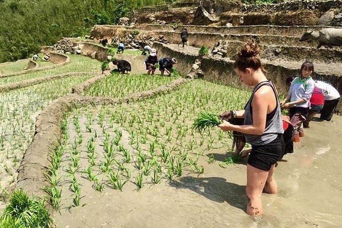 3 Days SAPA Real Experience at Local People House - Meals That Feel Like a Real Part of the Day