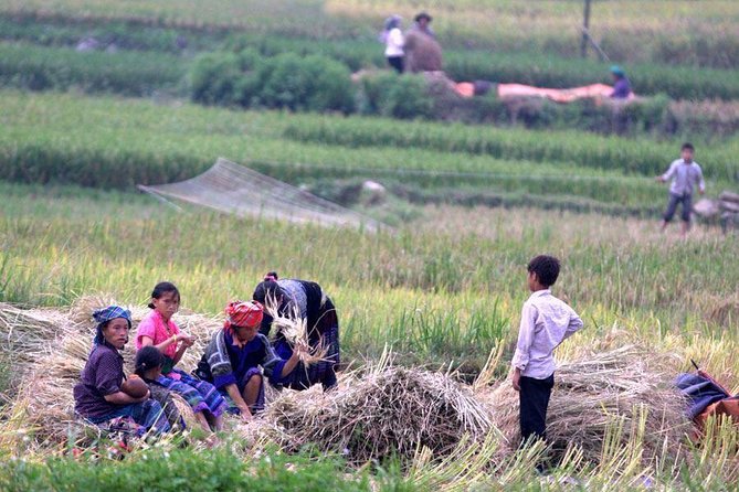 3 Days SAPA Real Experience at Local People House - Homestay Reality: Simple, Warm, and Not a Hotel