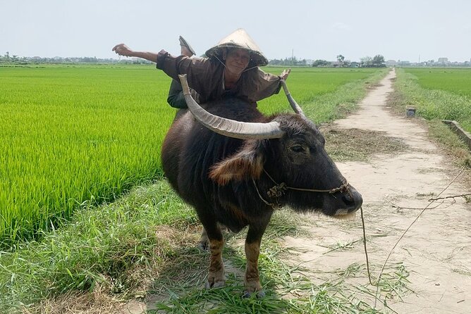 3 Hours Hoi An Countryside Bicycle Tour - Tra Que Herb Vegetable Village: Organic Greens and Photo Stops