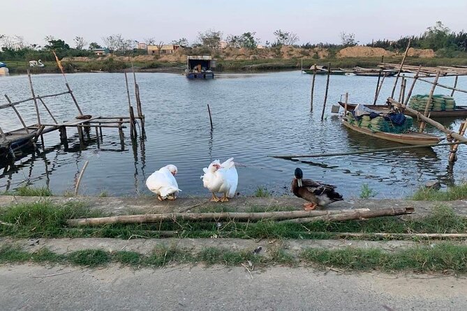 3 Hours Hoi An Countryside Motorbike Tour - Kim Bong Carpentry Village: Wooden Boats and Hand-Made Mats