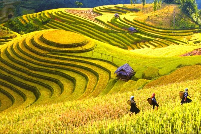 3-Night Sapa Trek and Homestay with Round Trip Transfer from Hanoi - Overnight train to Lao Cai: comfort, timing, and what to expect