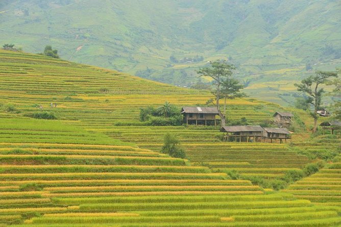 3-Night Sapa Trek and Homestay with Round Trip Transfer from Hanoi - Women-led handicraft center: why it is more than a souvenir stop