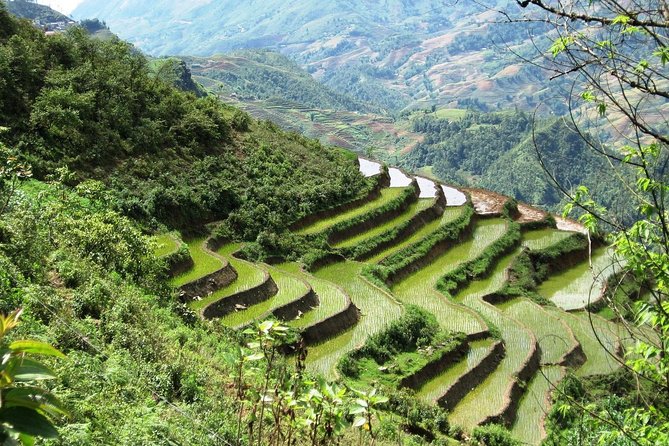 3-Night Sapa Trekking Tour from Hanoi - Hanoi to Lao Cai, then straight to Sapa by sleeper train