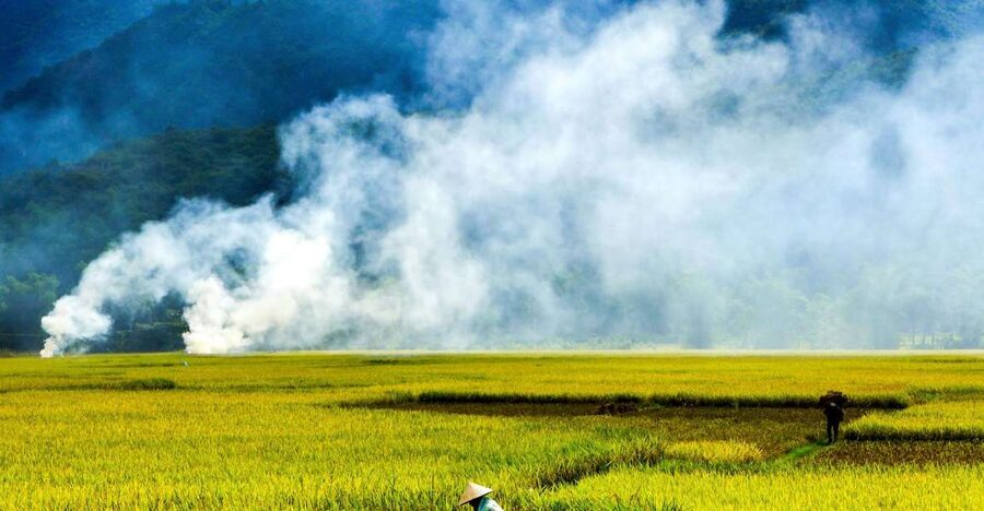 3D2N Mai Chau - Pu Luong from rice valley to nature reserve - Key Highlights You Actually Feel on the Ground