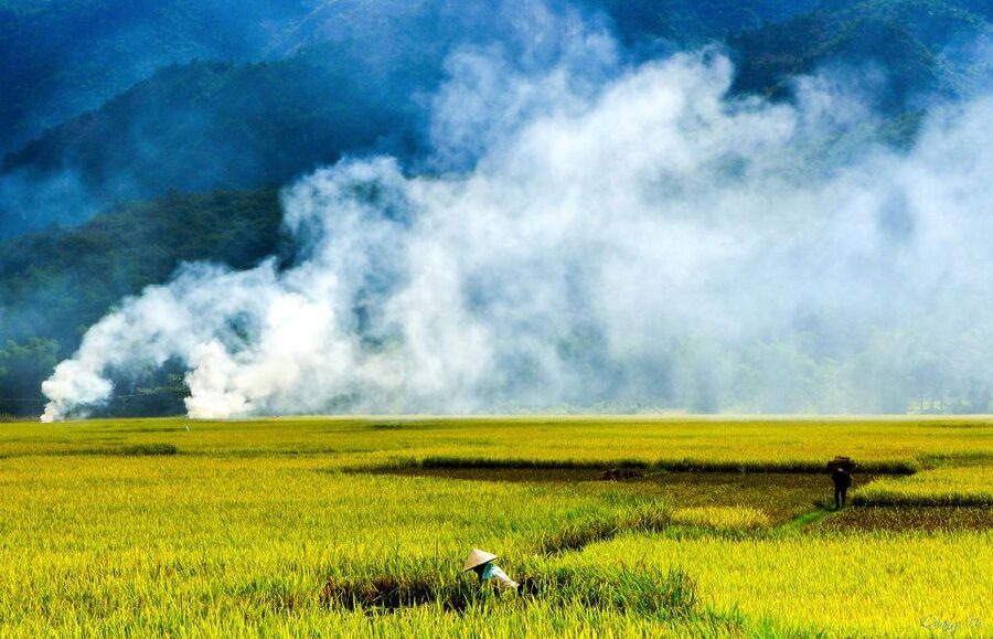 3D2N Mai Chau - Pu Luong from rice valley to nature reserve - Mai Chau on bicycle: simple wheels, big village rhythm