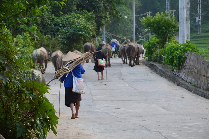 6-Day Off The Beaten Track Tour of North Vietnam from Hanoi - Homestays and food: stilt houses, home-style meals, and a local pace