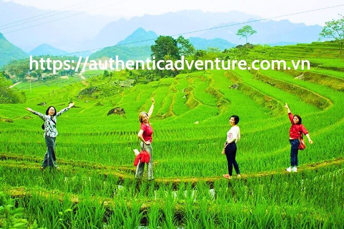 7 Days Explore Vietnam Trip - Cam Thanh to Hoi An: River Basket Boats and Lantern-Street Old Town