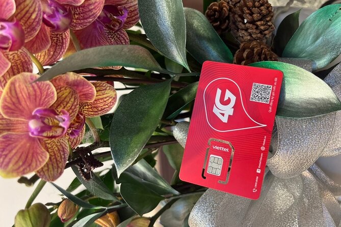 7 Days Unlimited DATA SIM CARD Vietnam - Who This SIM Is Best For