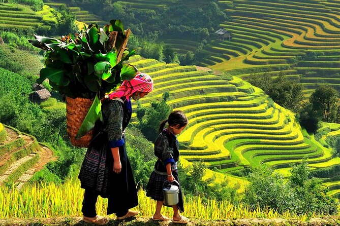 7 Days Vietnam Travel (Hanoi- Ninh Binh - Sapa - Ha Long) - Kayaking the Natural Preservation Area, then back to Hanoi