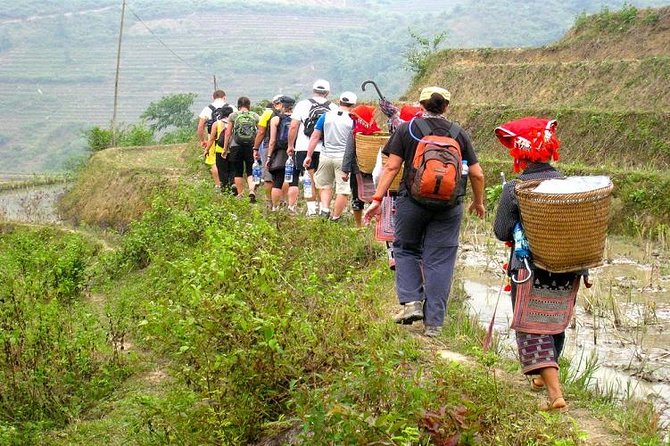 8-Day Discover Northern Vietnam Highlight: Hanoi - Ninh Binh - Sapa - Halong Bay - Sapa trekking day 2: Y Linh Ho, Lao Chai, and Ta Van with Zay people