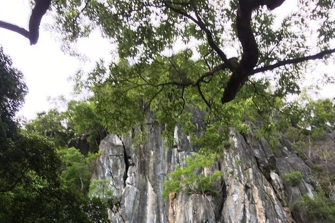 Abandoned Valley - Dark Cave exit, E Cave, Golden Cave- 2D1N - Dark Cave exit: the dramatic back door and mossy stalactites