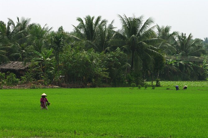 Adventure Cu Chi Tunnels and Mekong Delta Tour From HCM - Canals, Fruit Orchards, Honey Tea, Coconut Candy, and Folk Music