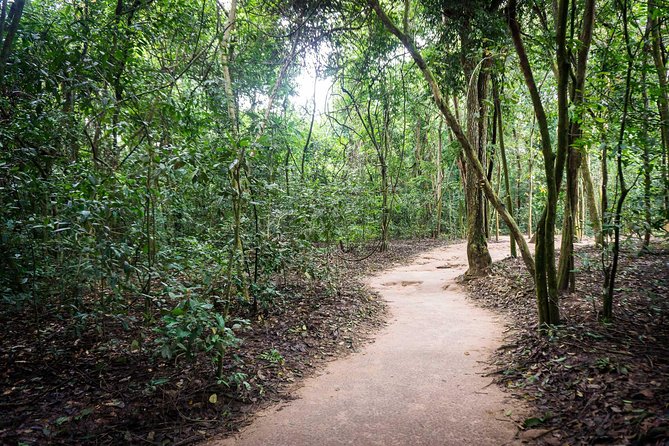 Afternoon Cu Chi Tunnels - Small Group Half-Day Tour - Afternoons to Cu Chi, what the timing really means