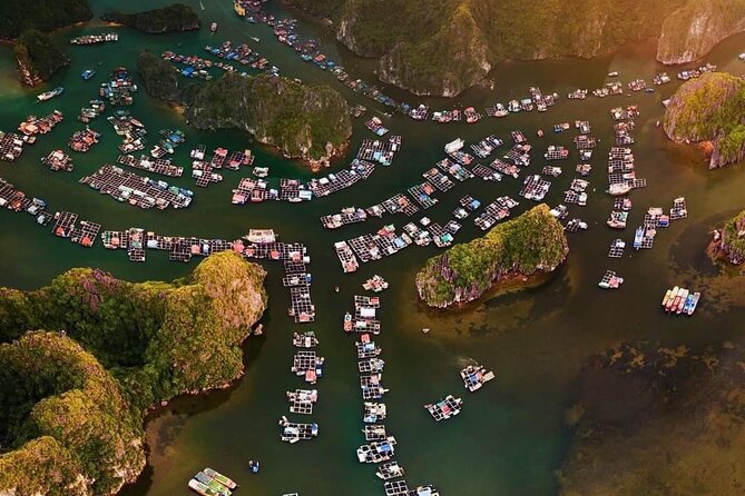 Amazing day - Boat trip discover real Ha Long Bay and Lan Ha Bay - How the day trip runs, from pickup to sunset back in Cat Ba