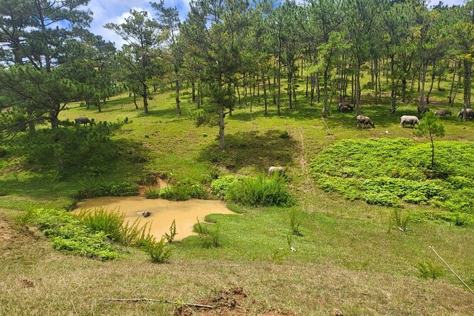 ATV Tour In The Dalat Mountains - Entering the ride: Golden Valley starts near Dalat City