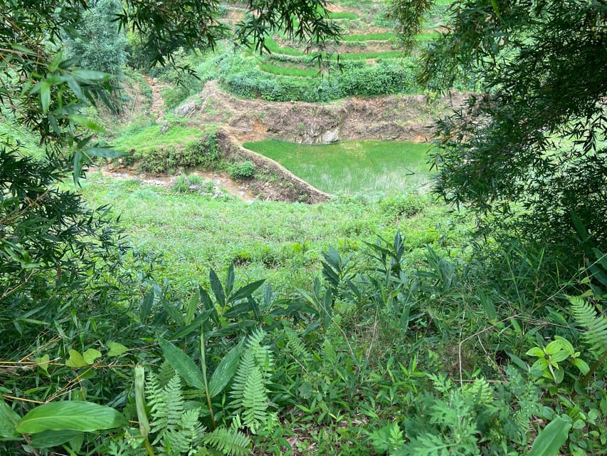 AUTHENIC 2D1N Trek & Bungalow Retreat with Dinh Hmong Family - Day 2: bamboo forest, Giang Ta Chai waterfall, and Red Dao lunch