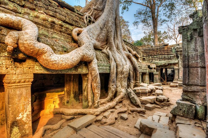 Authentic of Vietnam & Cambodia Tour - full package - Cu Chi Tunnels: history with context, not just a stop