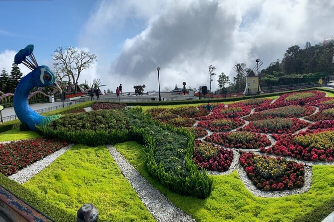 Ba Na Hills & Golden Bridge Tour from Da Nang - Sun World Ba Na Hills and Nui Chua Peak: The Second Lift Up