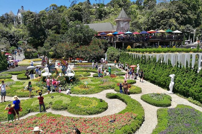 Ba Na Hills - Golden Hand Bridge Full Day Tour - Buffet lunch on the mountain, and why this inclusion matters