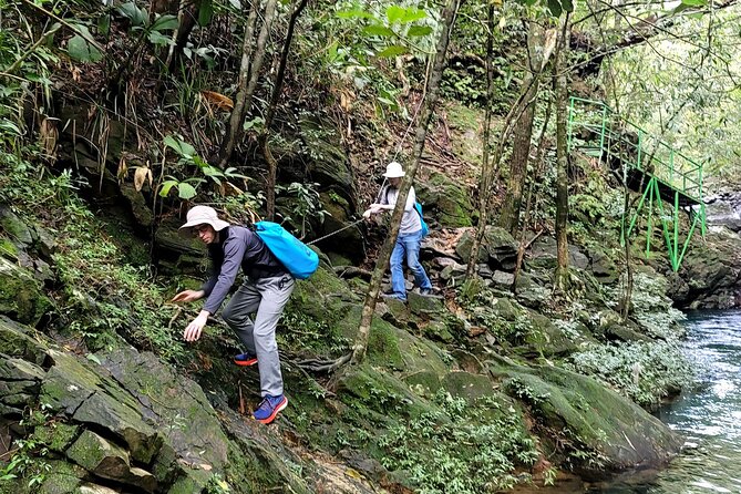 Bach Ma National Park trekking daily tour from Da Nang, Hoi An - How the Small Group Feel Impacts Your Day
