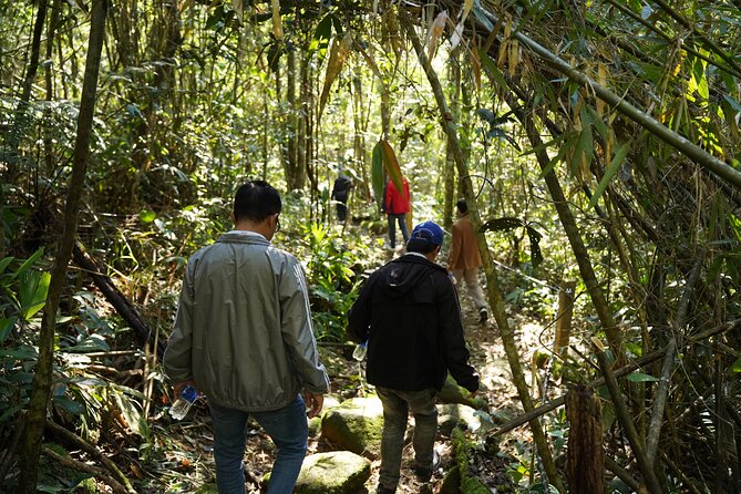 Bach Ma National Park trekking daily tour from Da Nang, Hoi An - Transportation Comfort: Air-Conditioned Vans and a Long Route