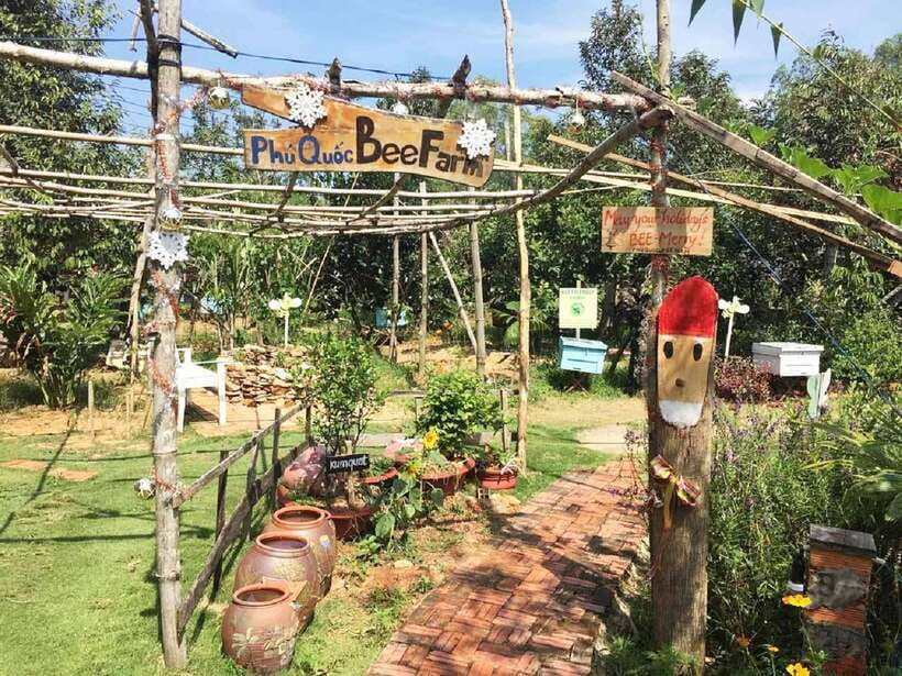 Best Seller Northern Phu Quoc & Kayak Aventure with lunch - The morning flow: pickup, bee farm honey, and getting your bearings