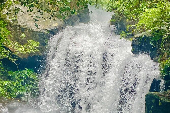 Botanic Garden - Paradise Cave - Zipline - Mudbath at Dark Cave - Stop 1: Phong Nha Botanical Garden trails and waterfall pauses