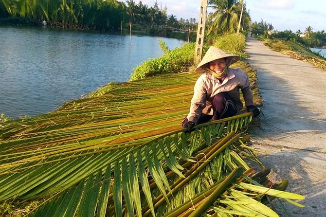 Buffalo Riding and basket boat tour from Da Nang/ Hoi An - Price and value: is $25 actually fair here?