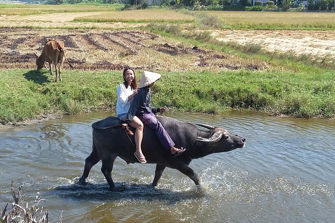 Buffalo Riding and basket boat tour from Da Nang/ Hoi An - Buffalo riding at Cam Thanh: quick, real, and photo-ready