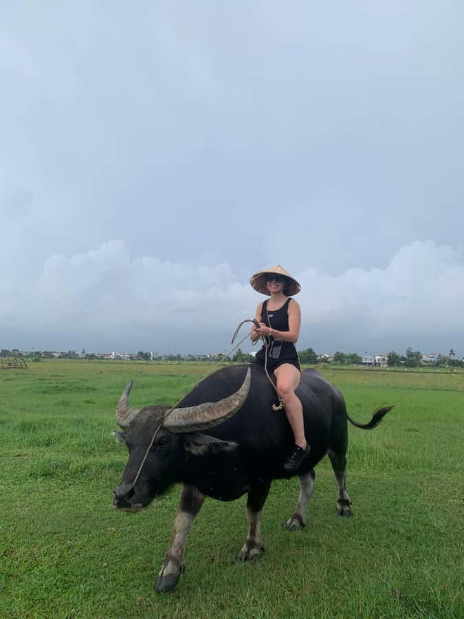 BUFFALO RIDING -BASKET BOAT & BIKE TOUR-HOI AN - Lunch or Dinner: Real Hoi An Flavors, Included
