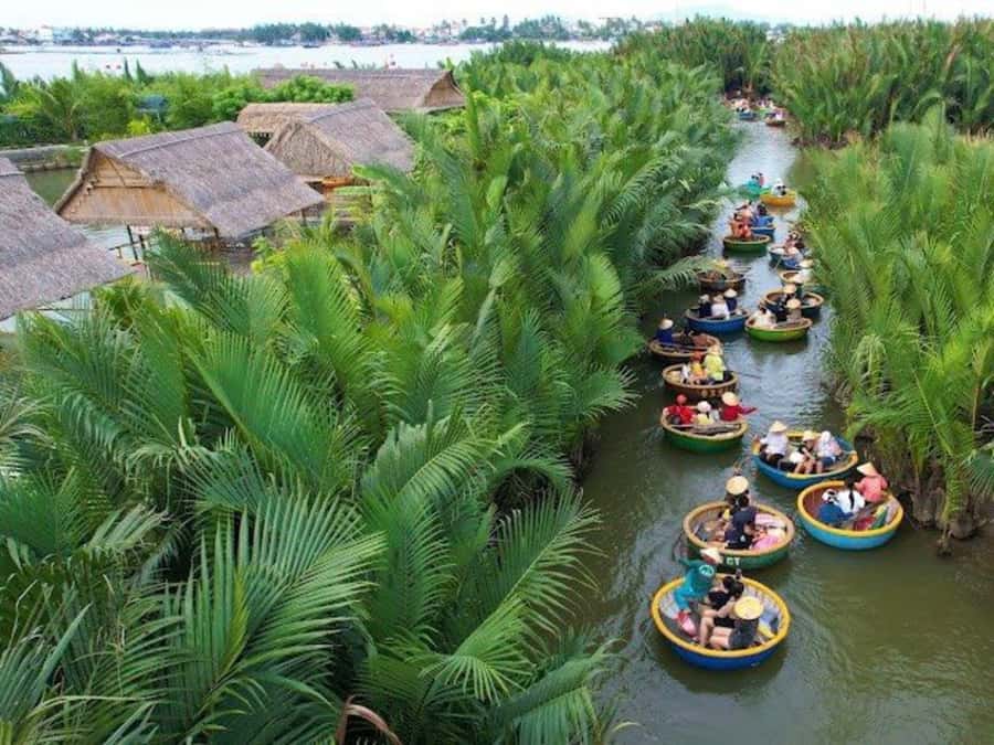 BUFFALO RIDING -BASKET BOAT & BIKE TOUR-HOI AN - Who Should Book This Tour, and Who Might Want to Skip It