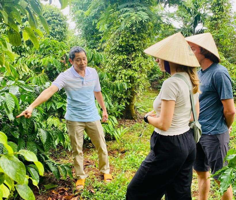 Buon Ma Thuot: Bean to Brew Coffee Farm Tour with Tasting - Meeting at Ea Kao, Then Walking Into the Coffee Garden